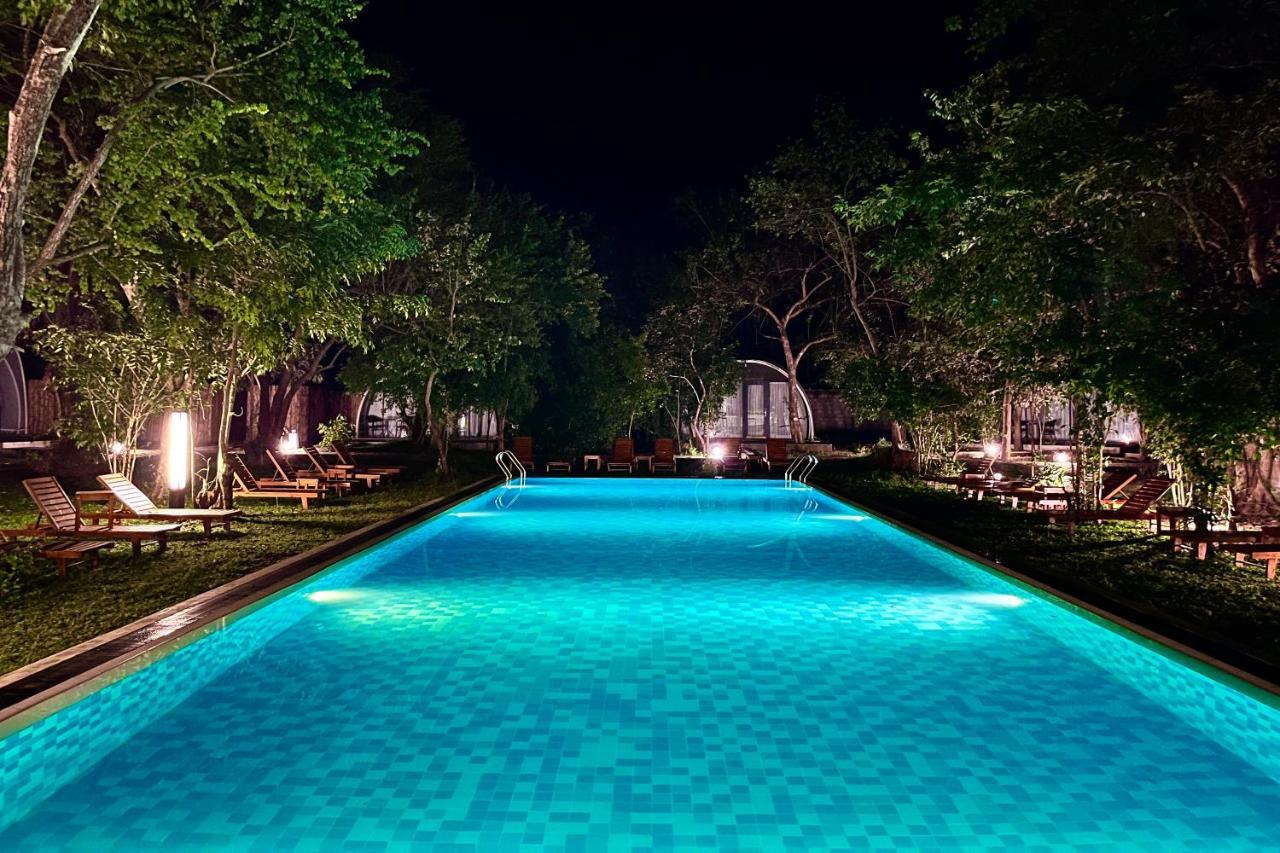 Nivadoo Resort Sigiriya Eksteriør billede The swimming pool at the hotel
