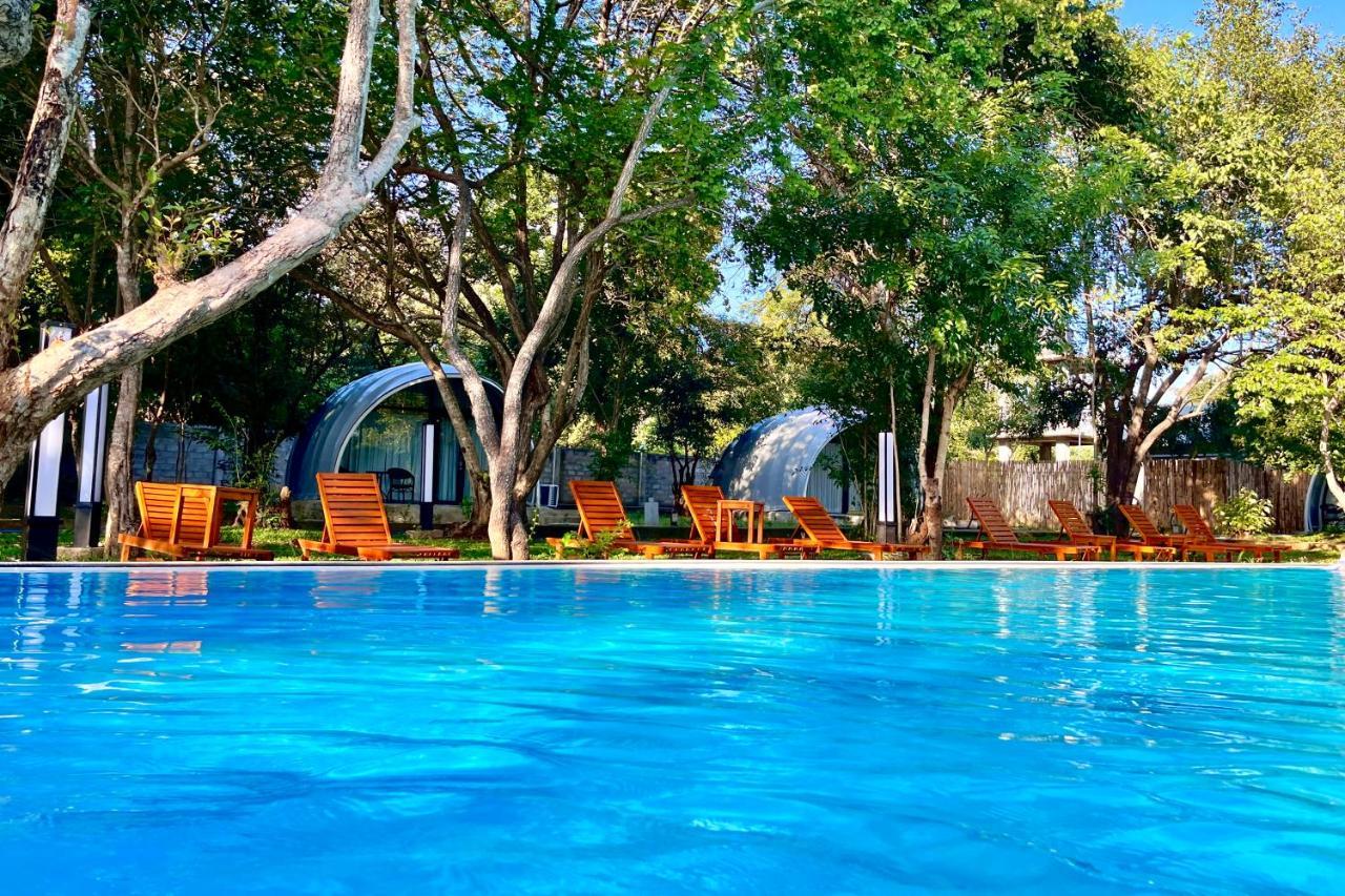 Nivadoo Resort Sigiriya Eksteriør billede The swimming pool at the resort