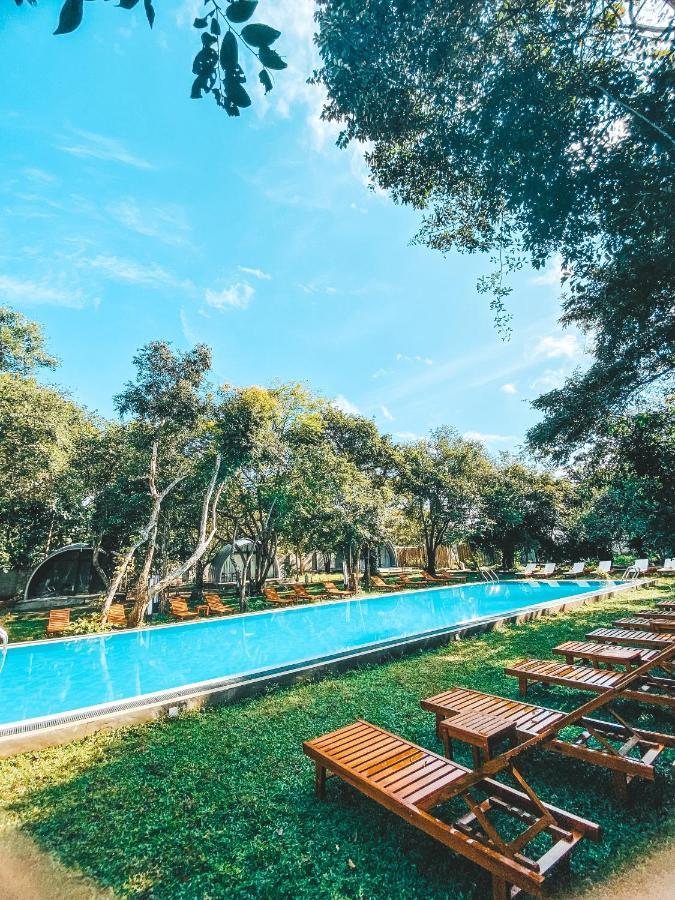 Nivadoo Resort Sigiriya Eksteriør billede