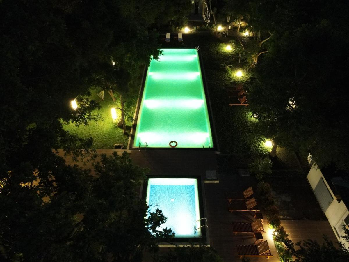 Nivadoo Resort Sigiriya Eksteriør billede The swimming pool at night
