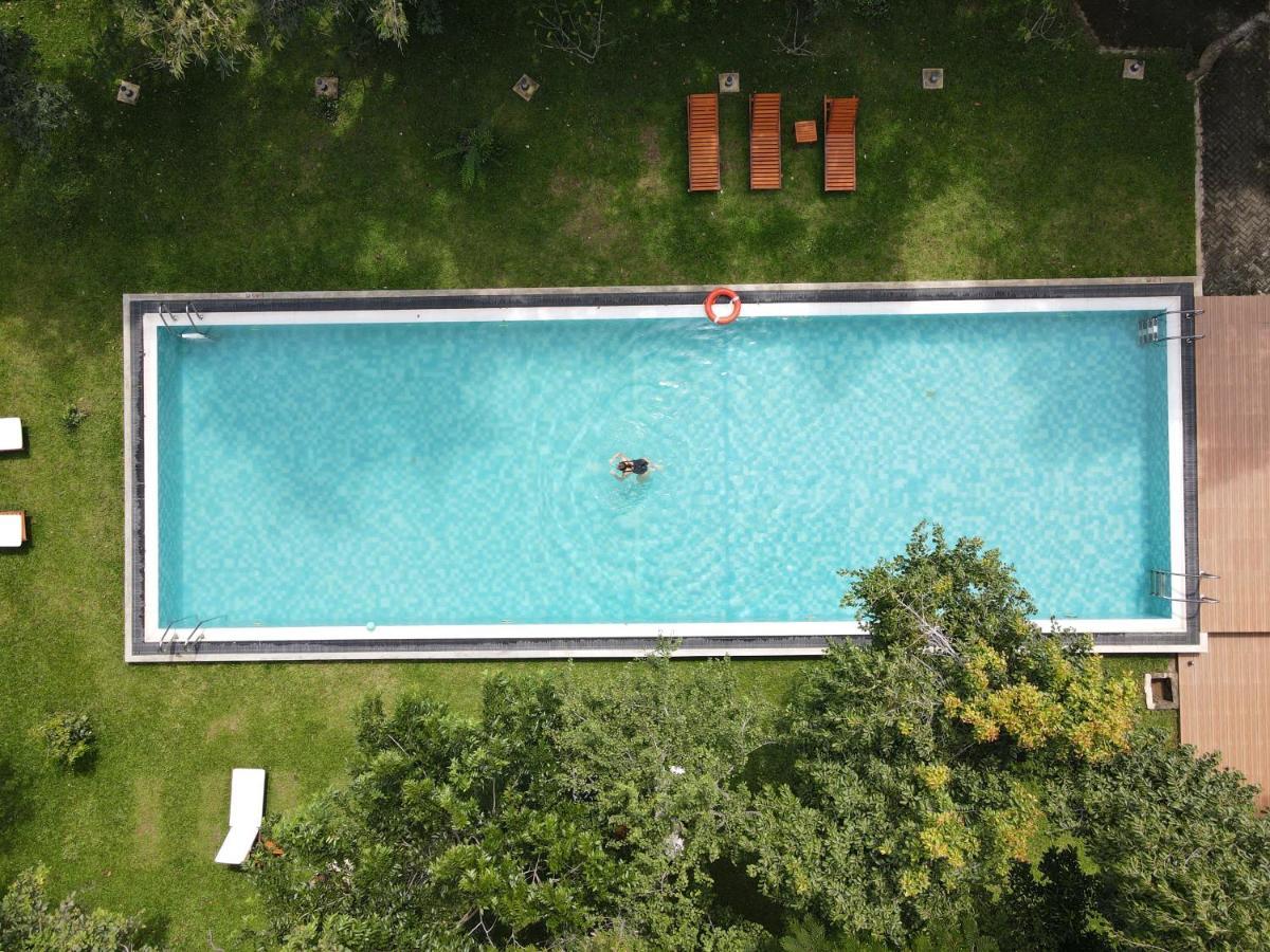Nivadoo Resort Sigiriya Eksteriør billede Aerial view of a swimming pool